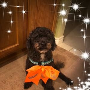 Meet your Posher, Jiyeon